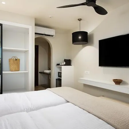 Hotel The Noverian Bios Santorini 5*